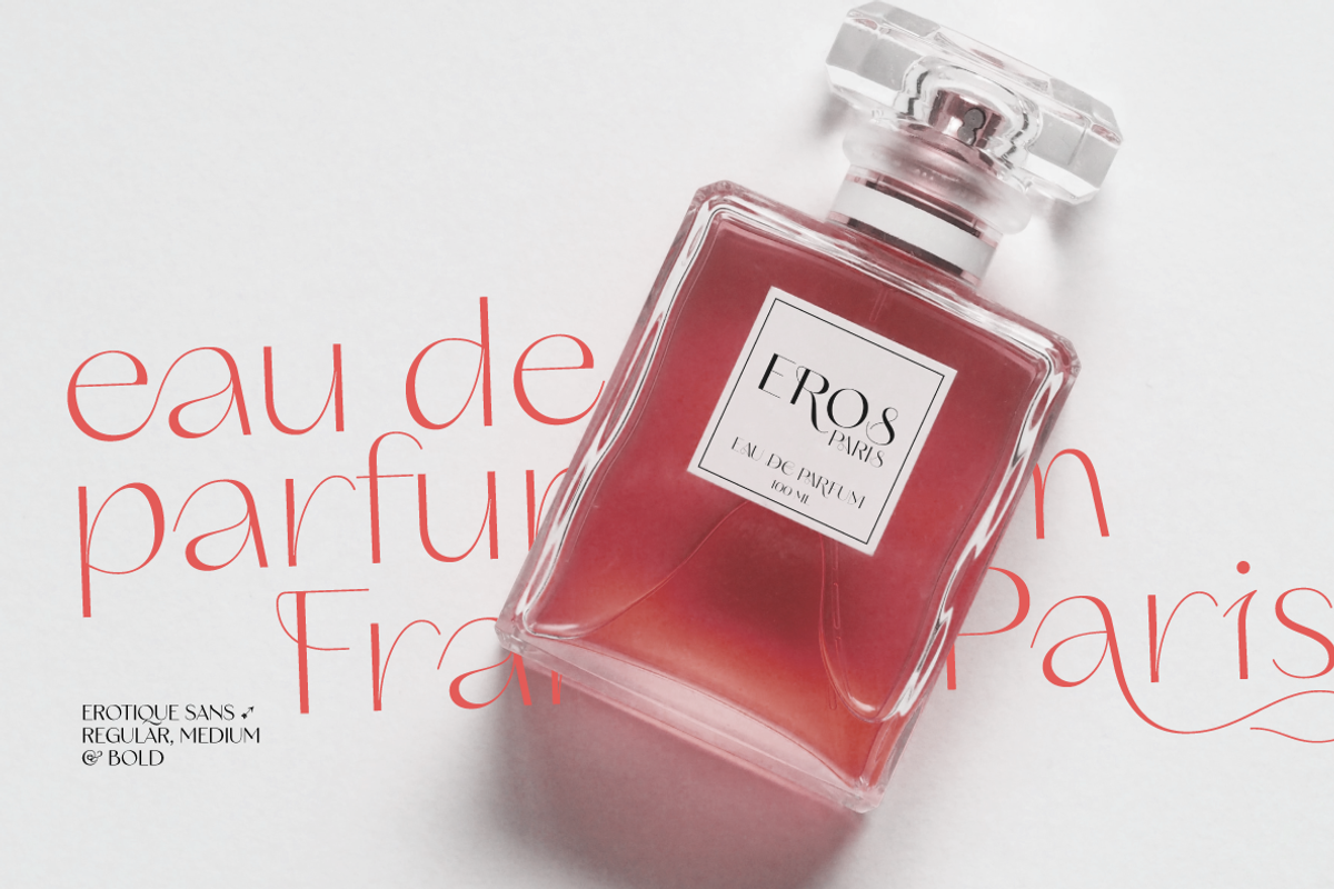 Erotique Sans - 10 fonts, a Sans Serif Font by Zetafonts (Photo 2 of 18)