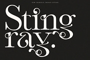 Vineyard - Serif Typeface, a Serif Font by Tropical Type (Thumbnail 6 of 10)