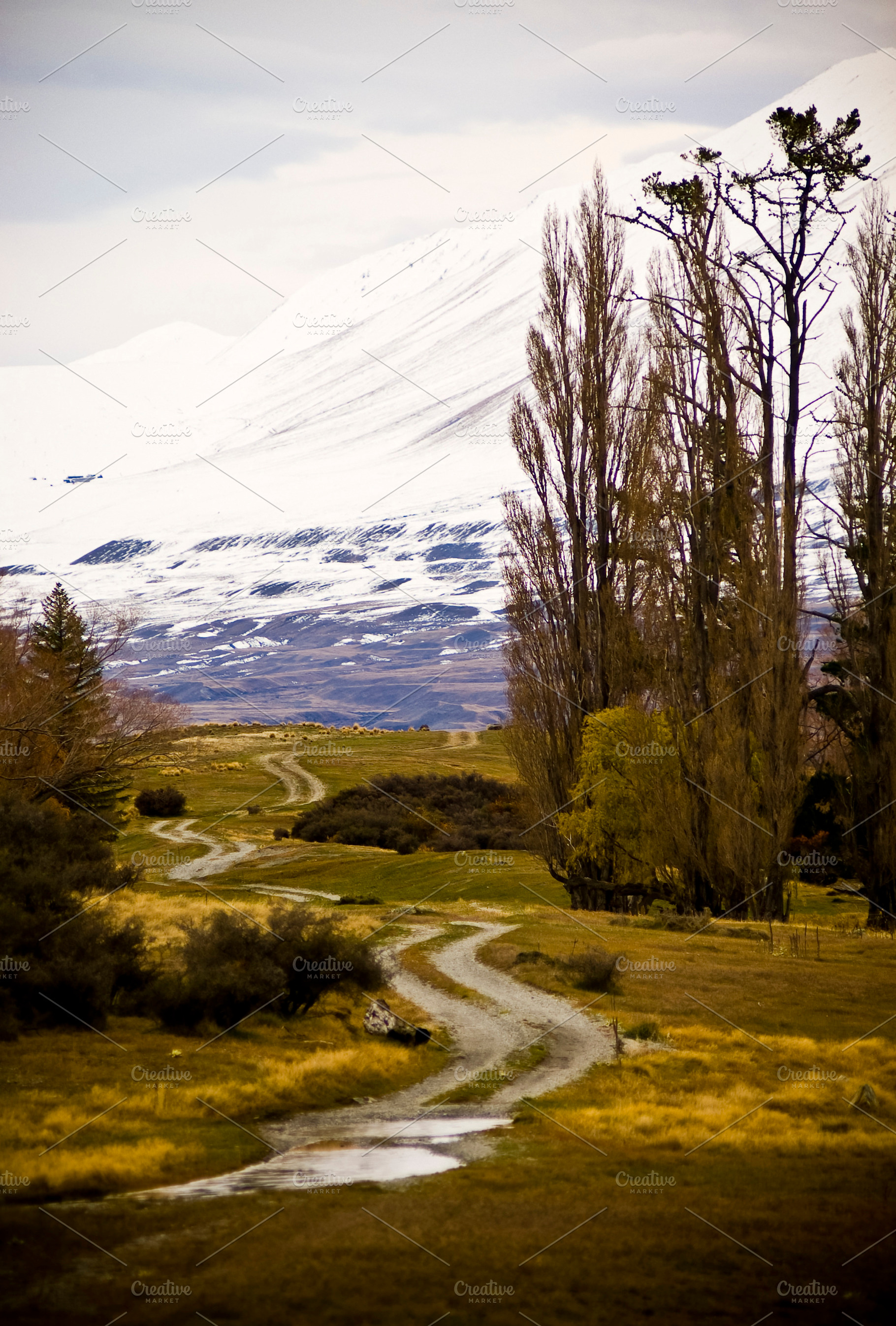 Country Road New Zealand, a Nature Photo by THP Creative