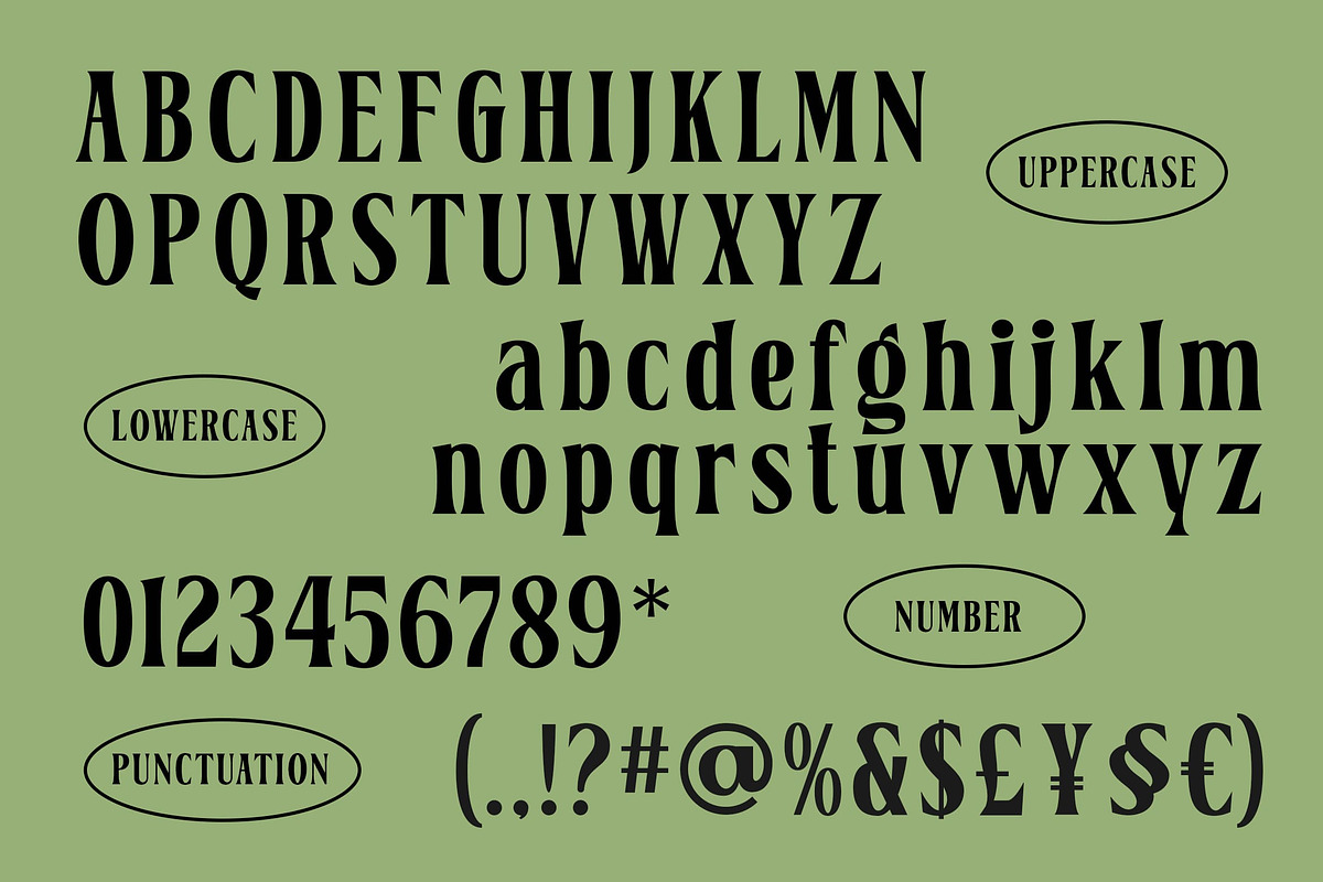 Belgino – Modern Stylish Serif Font, a Serif Font by Blankids Studio (Photo 9 of 9)