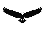 50 Flying Eagle Silhouette Vector Bu, an Illustration by Designs_River (Thumbnail 13 of 51)