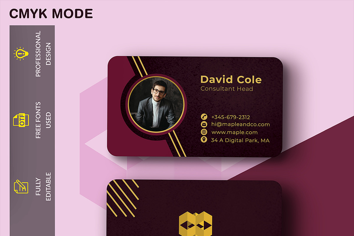Professional business card, a Business Card Template by kamalrawat_gd (Photo 1 of 2)