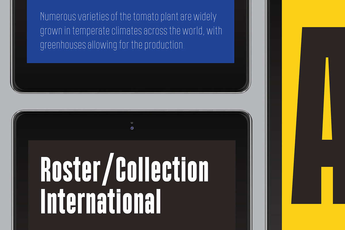 Polate, a Sans Serif Font by Typesketchbook Foundry (Photo 4 of 5)