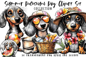 Summer Dachshund Dog PNG Clipart Set, a Seasonal Illustration by OK Design