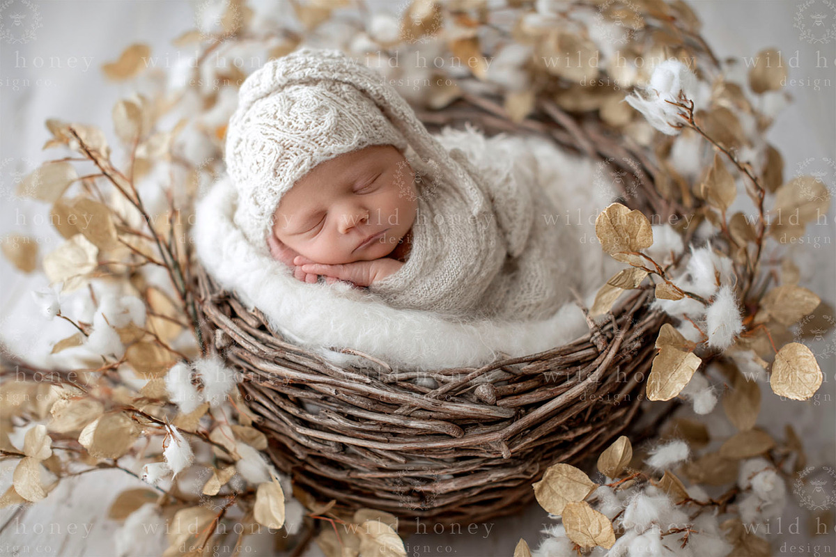 Newborn Basket Digital Backdrop, a Layer Style Add-On by Wild Honey Design Co. (Photo 1 of 2)