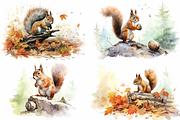 Squirrels Watercolor Collection, an Animal Illustration by artsy-fartsy (Thumbnail 2 of 6)