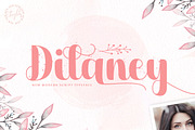 Dilaney - Handwritten Font, a Script Font by StringLabs (Thumbnail 1 of 10)