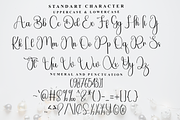 Snowing Dreaming, a Handwritten Font by FreshTypeINK (Thumbnail 6 of 8)