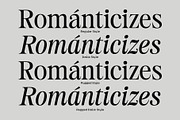 Estetika Maison - Editorial Serif, a Serif Font by The Native Saint Club (Thumbnail 9 of 16)