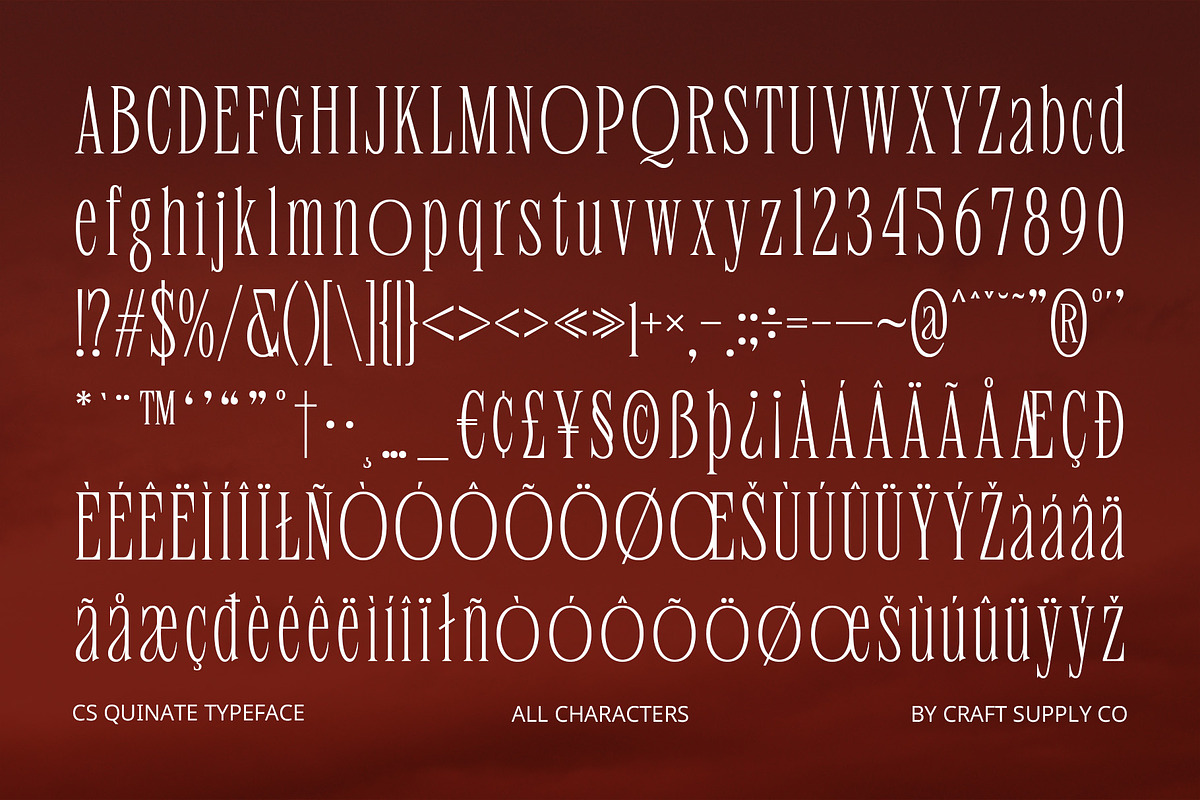 CS Quinate – Condensed Font, a Serif Font by Craft Supply Co. (Photo 8 of 8)