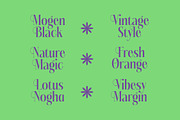 Kushers Modern Serif Display Font, a Serif Font by timelesstype.co (Thumbnail 6 of 20)