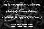 Chain Breaker, a Script Font by Uloel Design (Thumbnail 7 of 7)