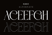 Roliace - Elegant Classy Display, a Serif Font by Qweera Studio (Thumbnail 10 of 12)
