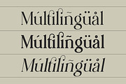 Hattori Elegant Font, a Serif Font by Zane Studio (Thumbnail 13 of 13)