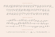 Bonita Melodia Script, a Script Font by Andrey Sharonov (Thumbnail 11 of 13)
