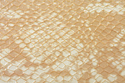 Scales & Skins Textures, a Texture Graphic by Blue Line Design (Thumbnail 4 of 5)