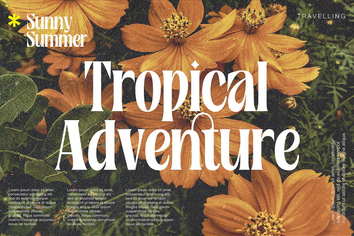 Rosamila Display, a Serif Font by Stripes Studio (Photo 3 of 11)