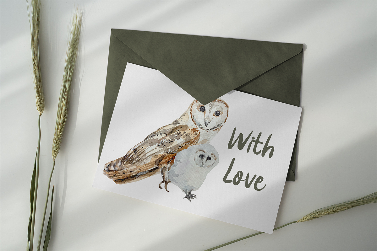 Owl Life Cycle Clip Arts and Print, an Education Illustration by Tati Bordiu (Photo 4 of 5)