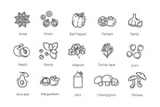 Vegetables and Fruit Vector icons, a Food Illustration by Tettygreen (Thumbnail 2 of 3)