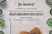 The succulent - font trio!, a Script Font by Andrea De Oliveira (Thumbnail 3 of 7)