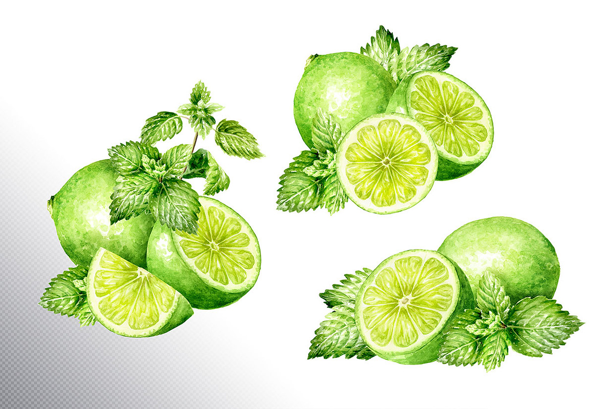 Lime citrus. Watercolor collection, a Food Illustration by Daria Ustiugova (Photo 7 of 21)