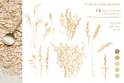 OAT Labels. Vector & PSD Design Kit, a Templates & Theme by Lumitar (Thumbnail 2 of 9)