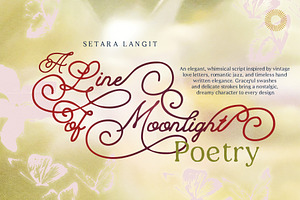 Moonlight – Romantic Swash Script