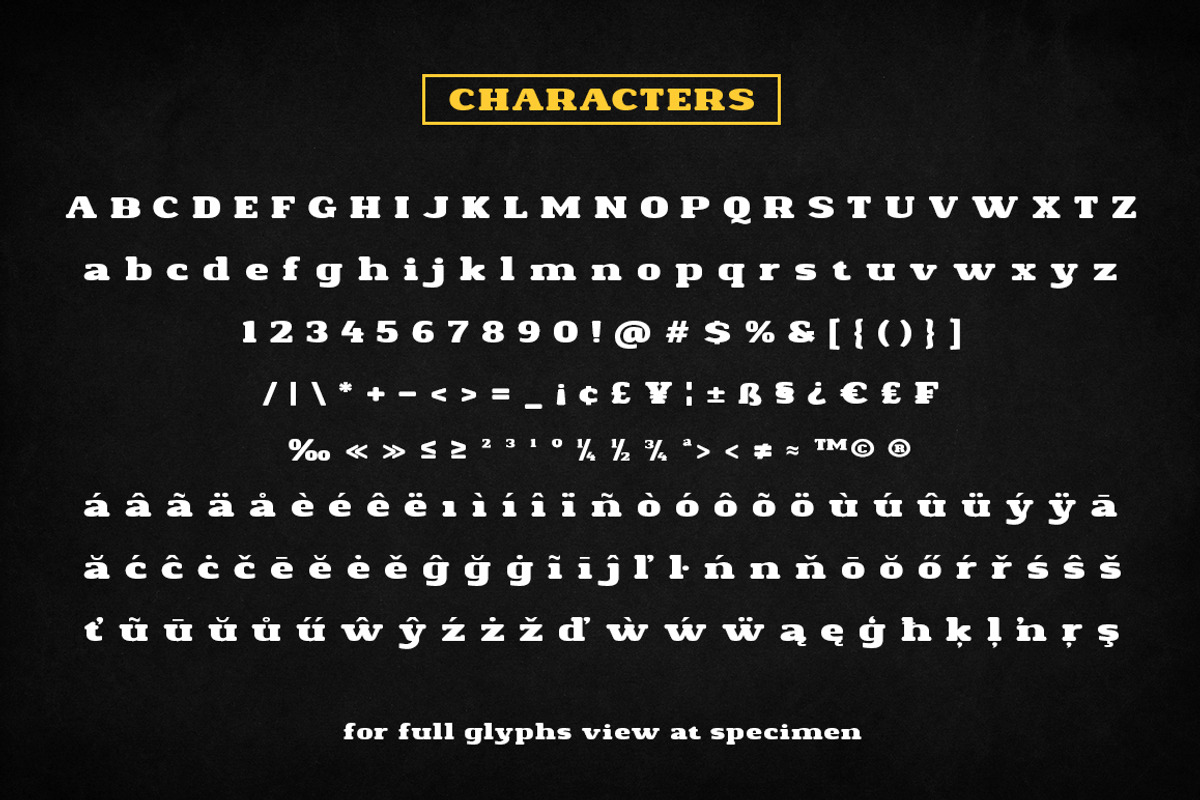 Density Heavy Slab Serif, a Slab Serif Font by Alandya TypeFoundry (Photo 13 of 15)