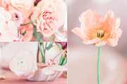Floral & Bridal Stock Photo Bundle, an Arts & Entertainment Photo by CreativeMavenCo. (Thumbnail 8 of 20)