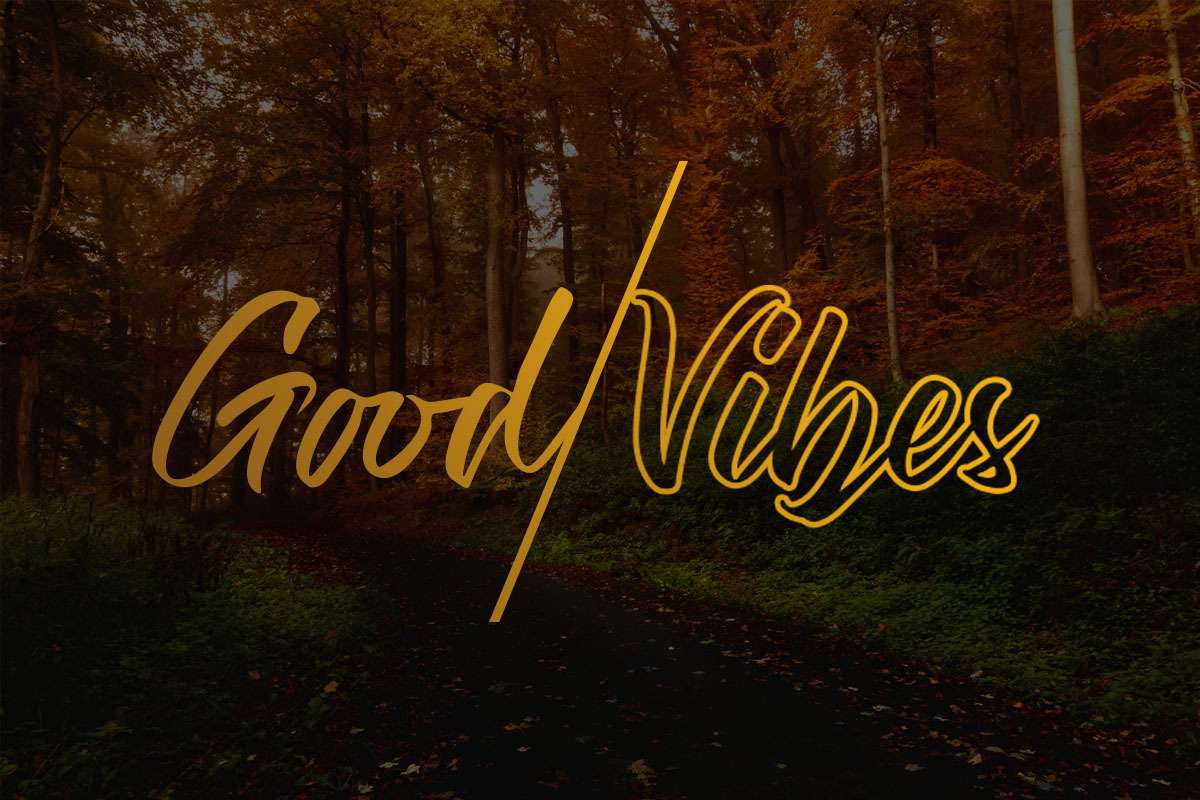 The Hamburg Script Font preview 3