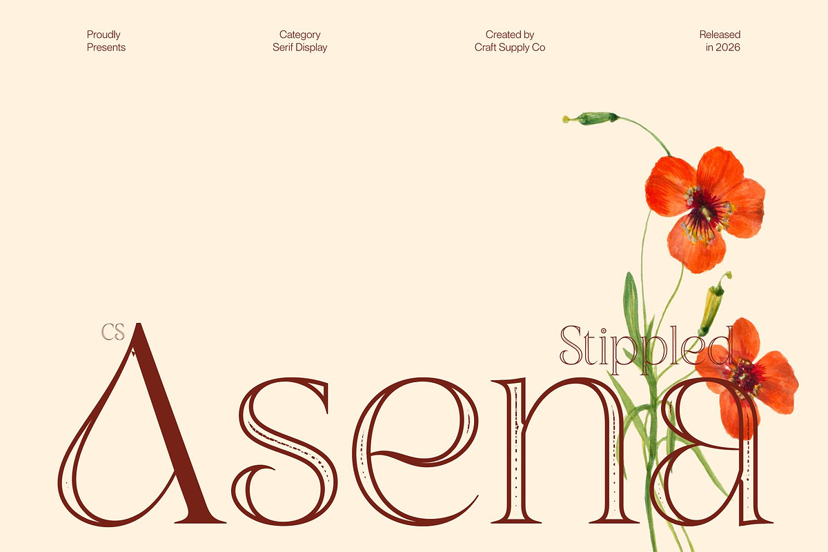 CS Asena Stippled, a Serif Font by Craft Supply Co. (Photo 1 of 8)