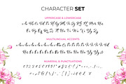 Kamelitta  - Beautiful Curvy Script, a Script Font by Almarkhatype (Thumbnail 9 of 10)