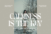 Garden Elegant Ligature Serif Font, a Serif Font by Graphicxell (Thumbnail 4 of 7)