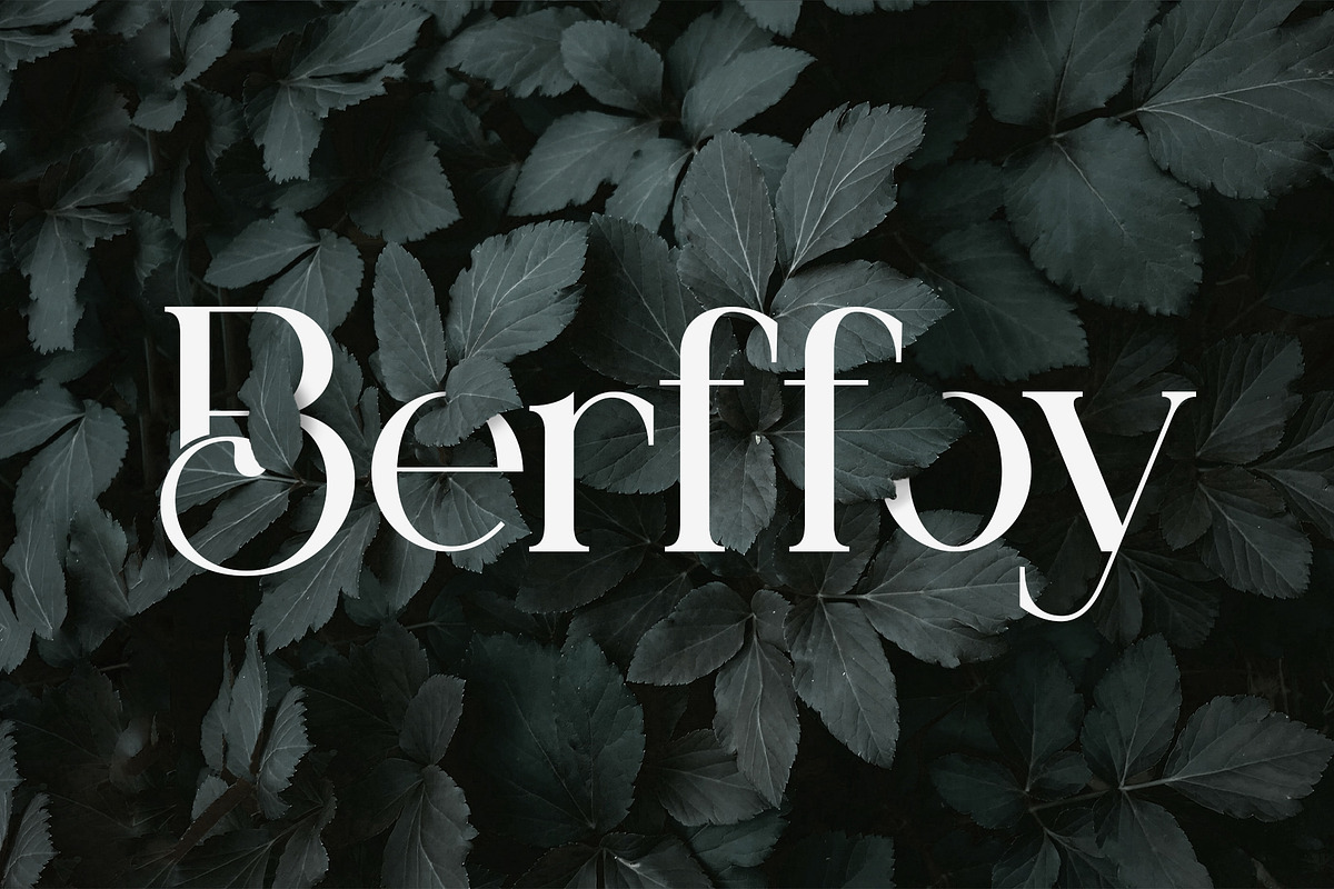 Dealva | Serif Font, a Serif Font by Ermedia Studio (Photo 9 of 12)
