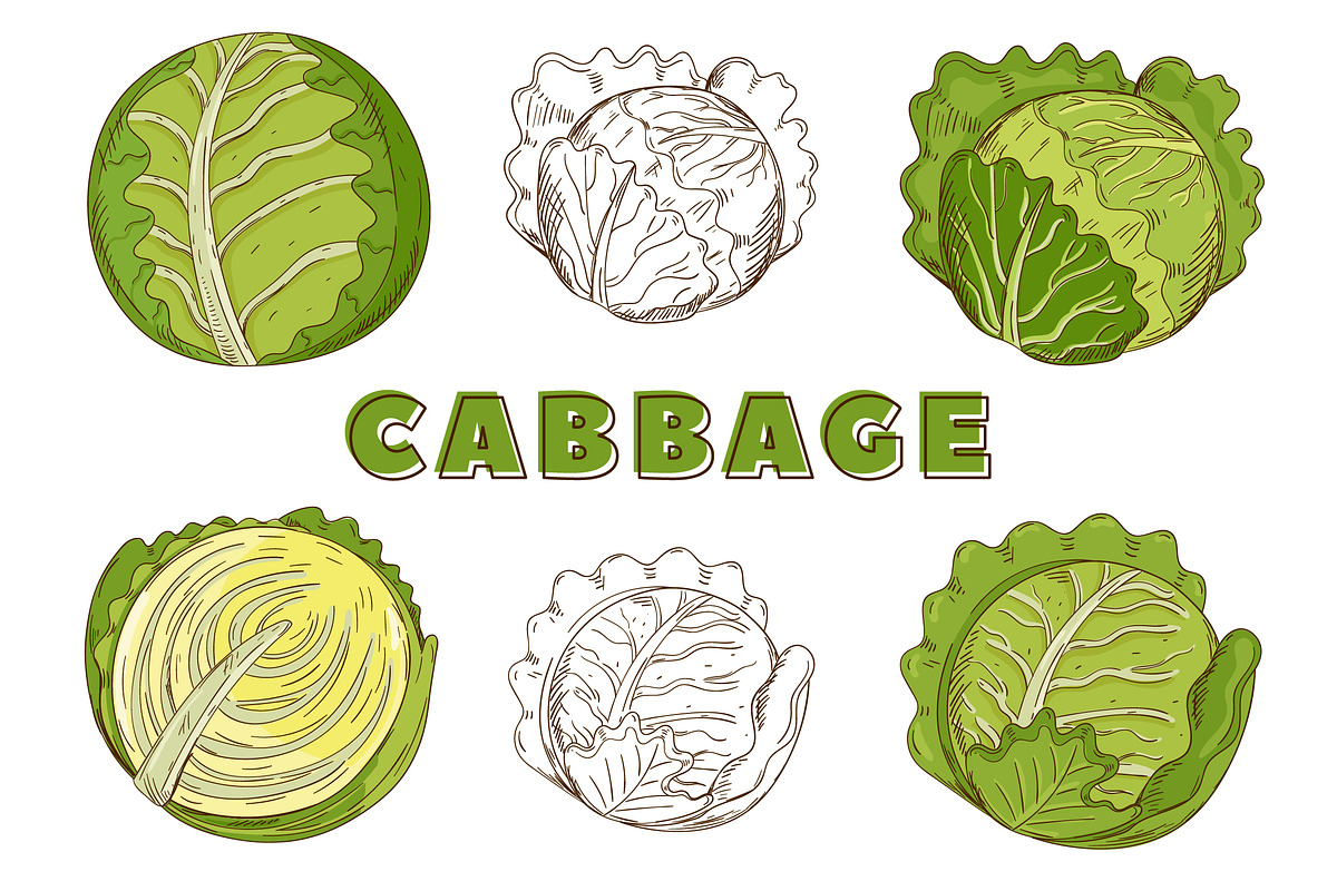 Vegetables in the Vintage Style, a Healthcare Illustration by Alfazet Chronicles (Photo 12 of 15)