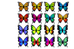 Group Of Colorful Butterflies.