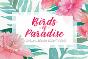 Birds of Paradise Brush Script, a Handwritten Font by sarahtypes (Thumbnail 1 of 5)