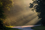 23 Floating Dust Photoshop Brush Set, a Brush Add-On by Click Click Studio (Thumbnail 10 of 10)