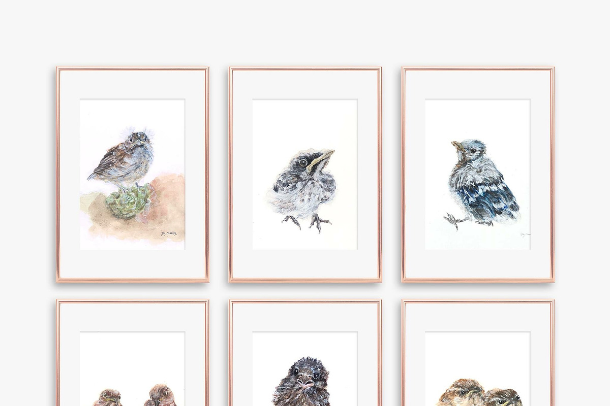 Fledgling Baby Birds Illustrations, an Animal Illustration by Joy ...