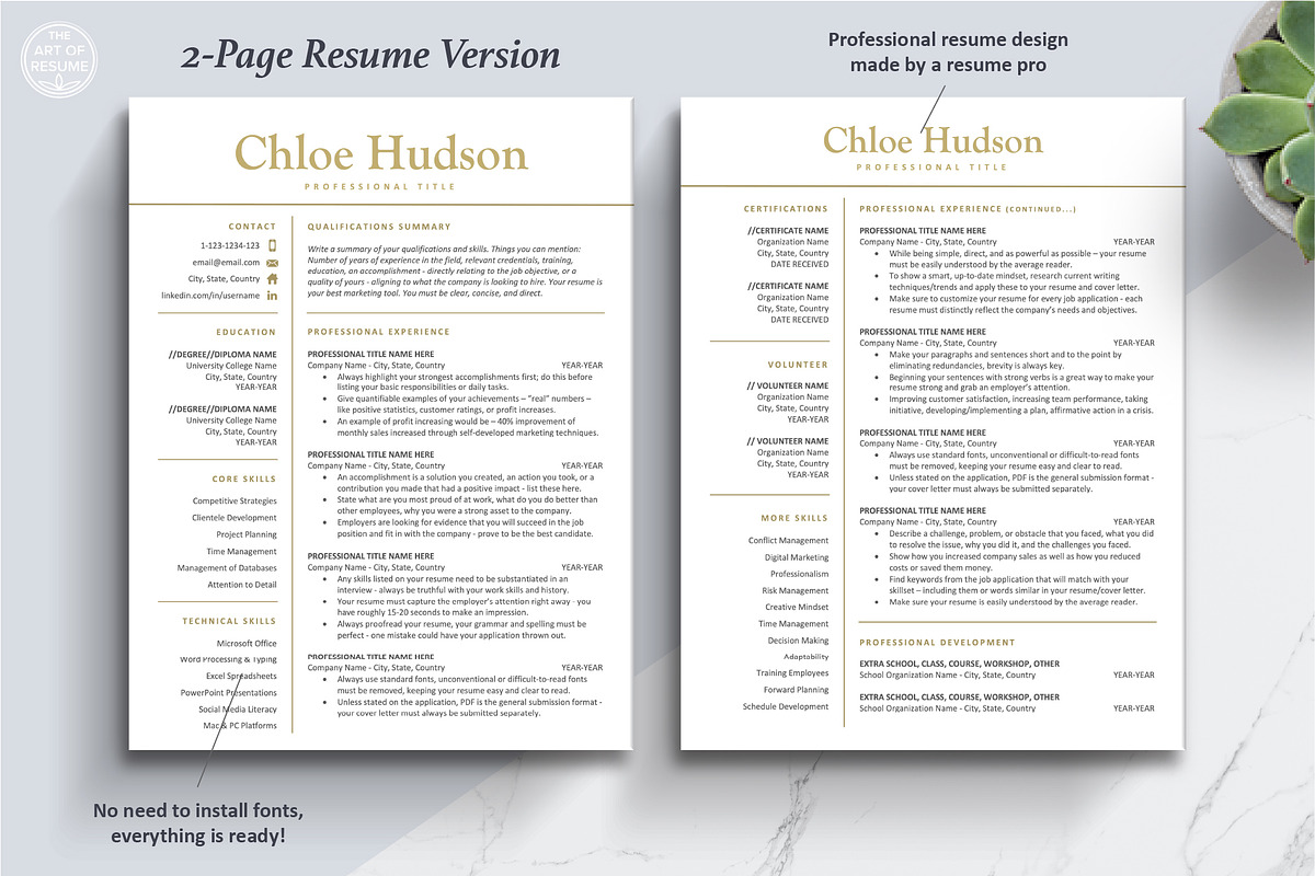 Best Resume CV Template Design, a Resume Template by The Art of Resume (Photo 5 of 8)
