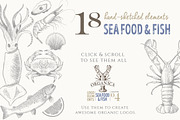4 IN 1 ORGANIC LOGO ELEMENTS, a Food Illustration by Friendly Label (Thumbnail 8 of 13)