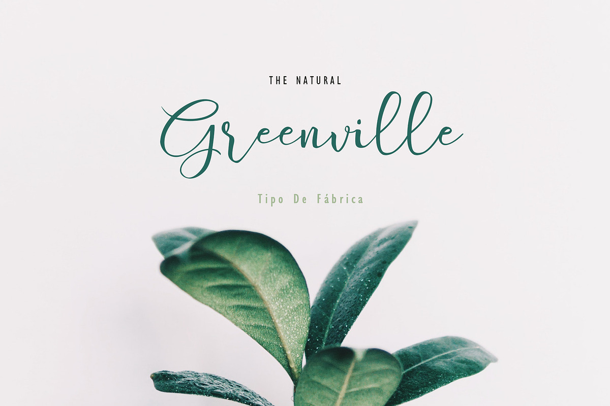 Ciellda || Signature Script Font preview 5