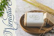 The Virnature Nature Script, a Script Font by alit design (Thumbnail 14 of 18)