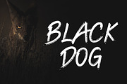 Grill Shadow - Brush Font, a Font by Dm Studio (Thumbnail 3 of 6)