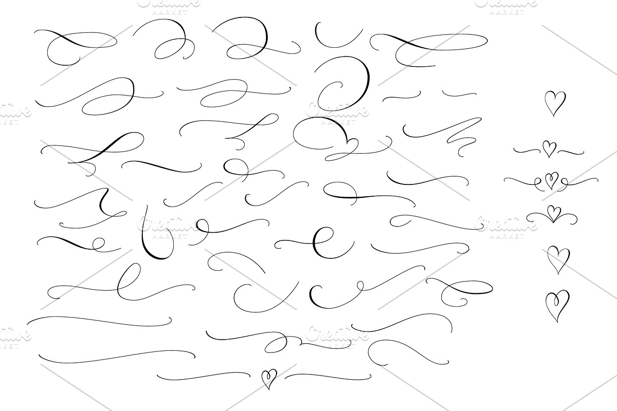 Collection of Wedding calligraphy, a Decorative Illustration by Olga Proz (Photo 4 of 8)