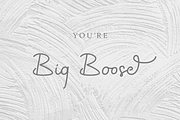 Priscillia | Organic Handwritting, a Script Font by Ngapak Studio (Thumbnail 7 of 12)