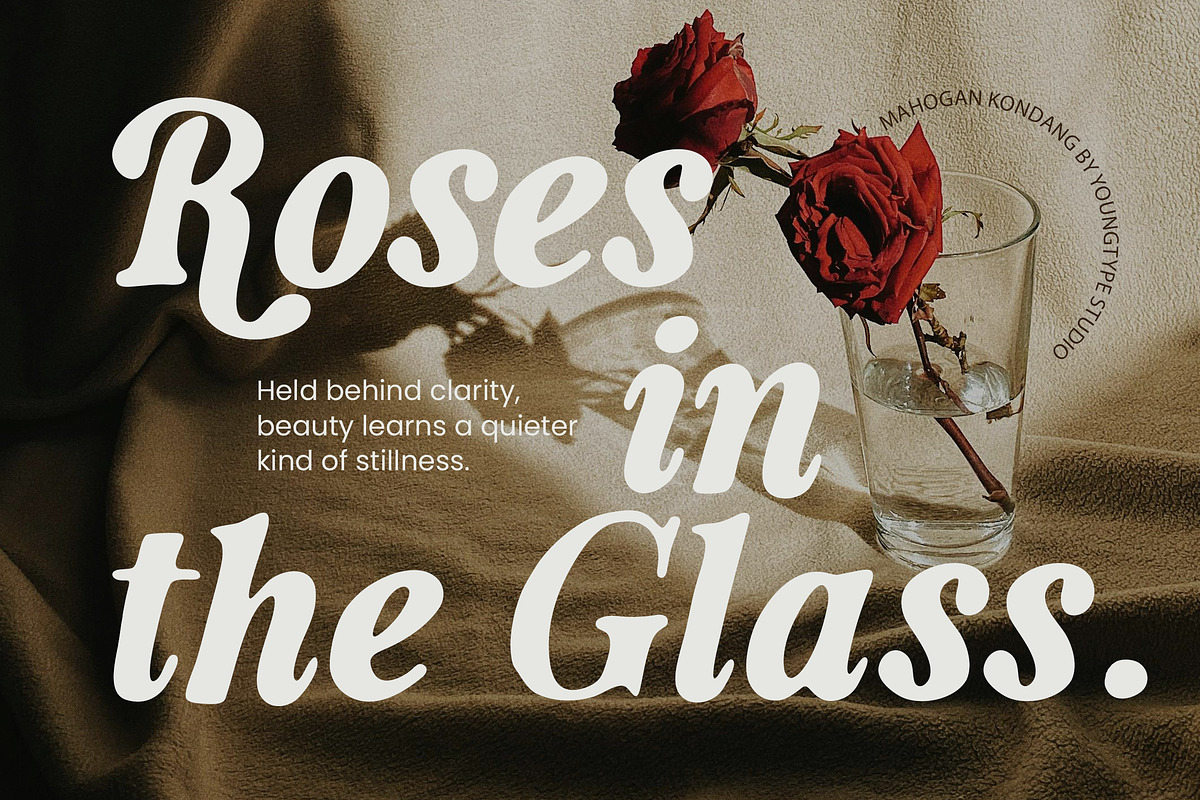 Mahogan Kondang, a Serif Font by Youngtype.Std (Photo 2 of 10)