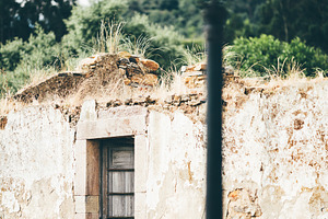 Selective focus rustic facade, an Architecture Photo by SkyNext