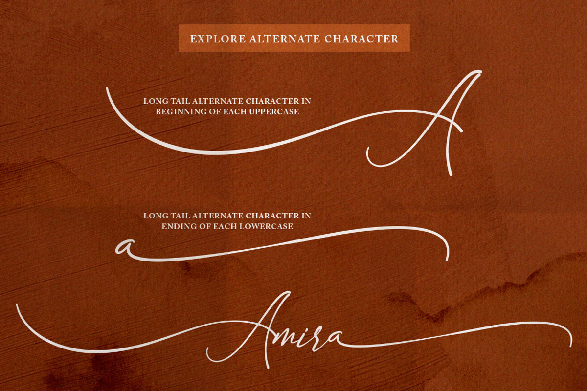 Sandrina- Elegant Script Font preview 4