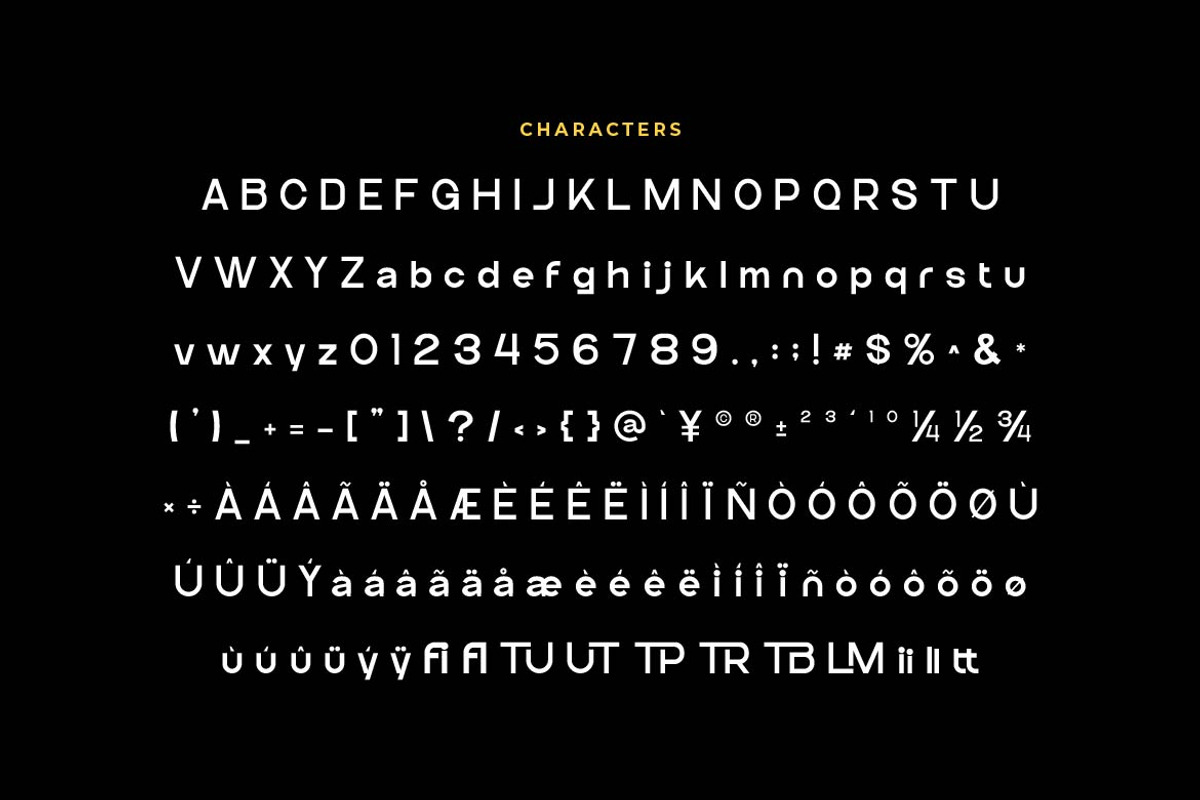 Gottora - Logo Font, a Sans Serif Font by Artiveko (Photo 2 of 8)